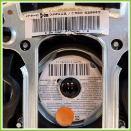 Airbag Guidatore DALPHIMETAL CA100521ZEE CITROEN C3 1a Serie 96380009ZE
