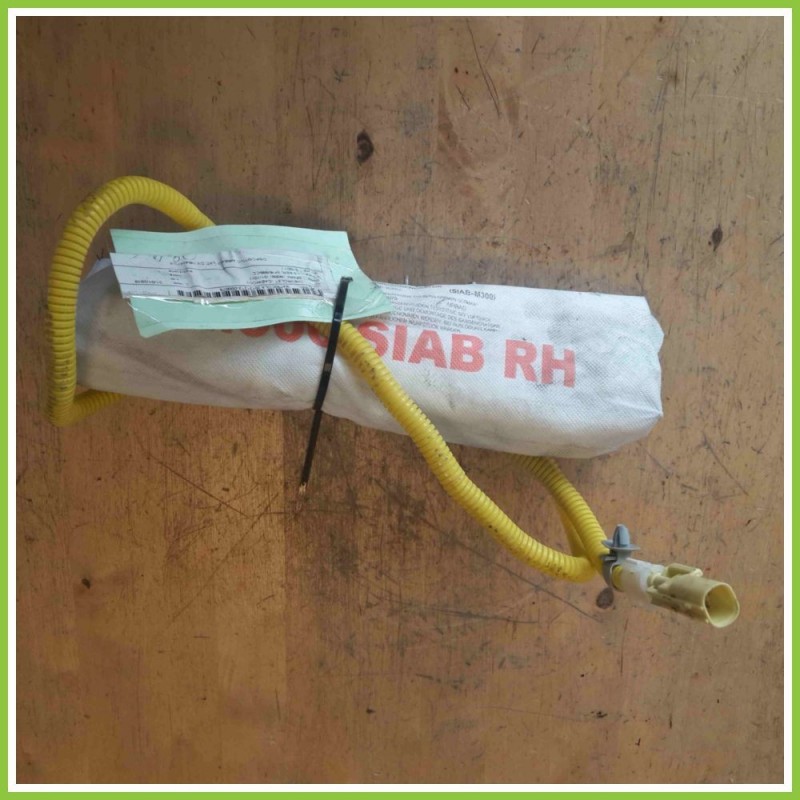 Airbag Laterale DELPHI SIAN-M300 CHEVROLET (DAEWOO) SPARK M300 690000609