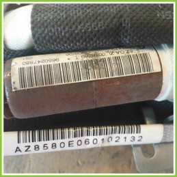 Airbag Laterale AUTOLIV 5ZGAZL0016769T PEUGEOT 207 6061179