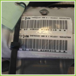 Airbag Laterale DALPHIMETAL 34070342C PEUGEOT 5008 9684667880