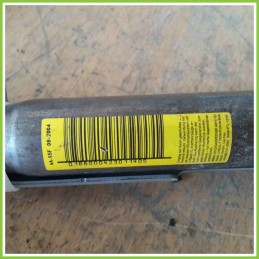 Airbag Laterale AUTOLIV 8200432644 RENAULT MEGANE 2a Serie 436282300508