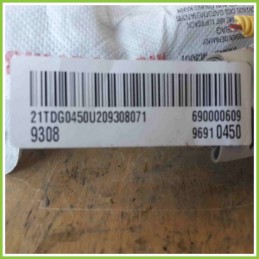 Airbag Laterale DELPHI 96910450 CHEVROLET (DAEWOO) SPARK M300 6900000609