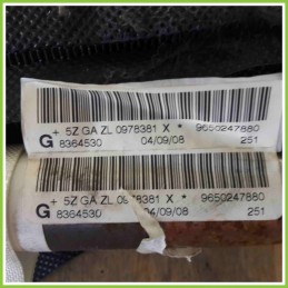 Airbag Laterale AUTOLIV 9650248770 PEUGEOT 207 5ZGAZL0978381X