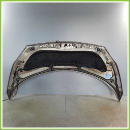 Cofano Motore Anteriore RENAULT SCENIC 2a Serie 1.9 DCI 2003 2009 Monovolume