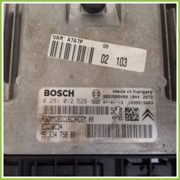 Centralina Motore Iniezione ECU BOSCH 0281012529 PEUGEOT 207 1.4 HDI 9663475880 Diesel 2006 2009