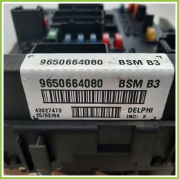 Body Computer Centralina Modulo BCM BSI DELPHI 40927470 PEUGEOT 206 1.4 16V 9650664080 1998 2009