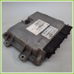 Centralina Motore Iniezione GAS METATRON 4100107 FIAT PUNTO 2U 1.2 8V 55196524 2003 2007