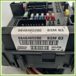 Body Computer Centralina Modulo BCM BSI DELPHI BSM-B3 PEUGEOT 206 1.1 9646405280 1998 2009