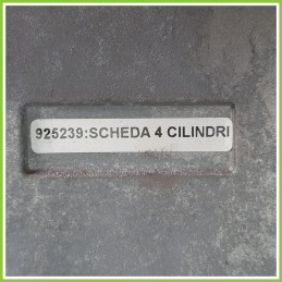 Centralina Motore Iniezione GAS EGAS STEFANELLI RENAULT CLIO 3a Serie 1.2 16V 925239 2005 2009