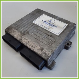 Centralina Motore Iniezione GAS LANDI RENZO OMEGAS SEAT IBIZA 6J 1.4 616264001 2008 2013