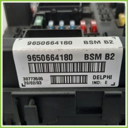 Body Computer Centralina Modulo BCM BSI DELPHI BSMB2 PEUGEOT 206 1.1 9650664180 1998 2009