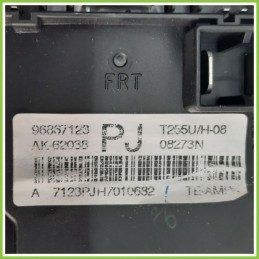 Body Computer Centralina Modulo BCM BSI TYCO T255U/H-08 CHEVROLET (DAEWOO) AVEO T250 1.2 96867123 2008 2012