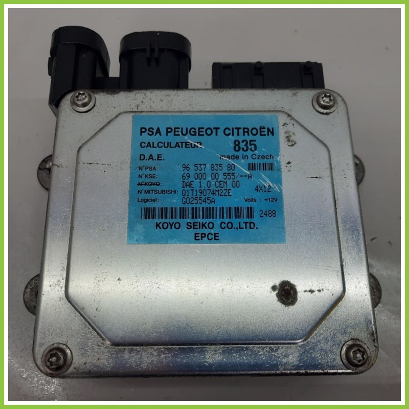 Centralina Sterzo KOYO 6900000555/A CITROEN C2 1.4 9653783580 2003 2010