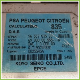 Centralina Sterzo KOYO 6900000555/A CITROEN C2 1.4 9653783580 2003 2010