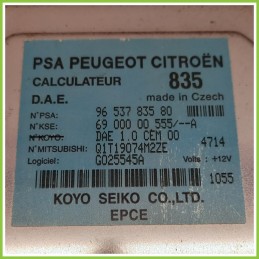 Centralina Sterzo KOYO 6900000555/A CITROEN C2 1.4 9653783580 2003 2010