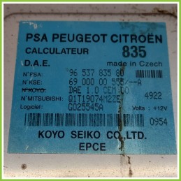 Centralina Sterzo KOYO 6900000555/A CITROEN C3 1a Serie 1.1 9653783580 2002 2005