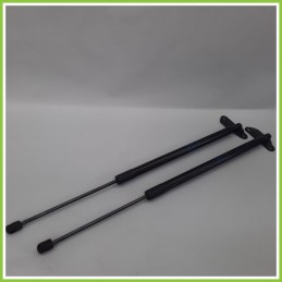 Ammortizzatori Portellone Posteriore VOLKSWAGEN TIGUAN AD1 5 Porte 5NA827550B 2016