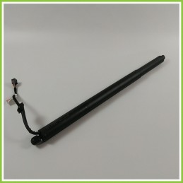 Ammortizzatori Cofano Posteriore HYUNDAI TUCSON 81831N7100 2020