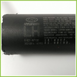 Ammortizzatori Cofano Posteriore HYUNDAI TUCSON 81831N7100 2020